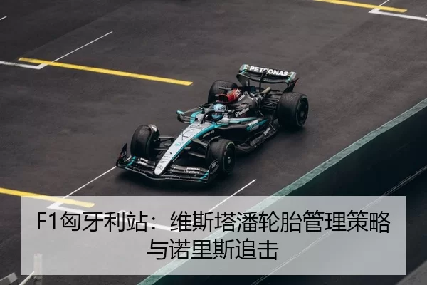 xiong-ya-li-zhan-wei-si-ta-pan-lun-tai-guan-li-ce-lve-yu-nuo-li-si-zhui-ji-3-766.jpg