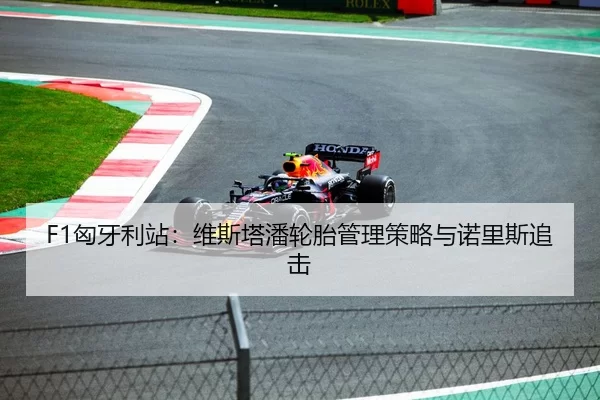 F1匈牙利站：维斯塔潘轮胎管理策略与诺里斯追击