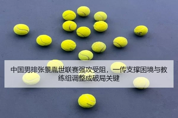 zhong-guo-nan-pai-zhang-jing-yin-shi-lian-sai-qiang-gong-shou-zu-yi-chuan-zhi-cheng-kun-jing-yu-jiao-lian-zu-tiao-zheng-3-318.jpg